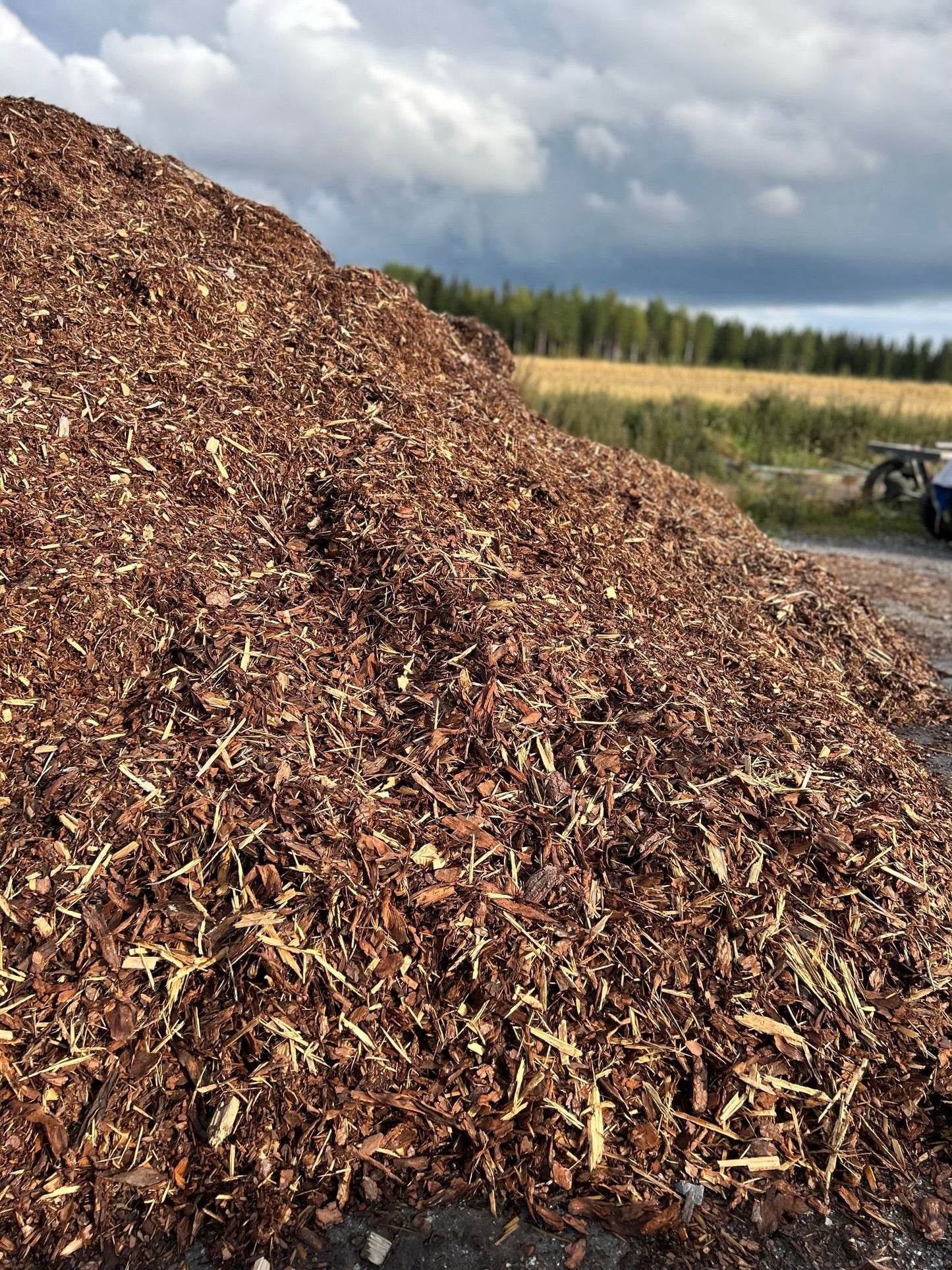 Multa & kuorikate irtokuormat